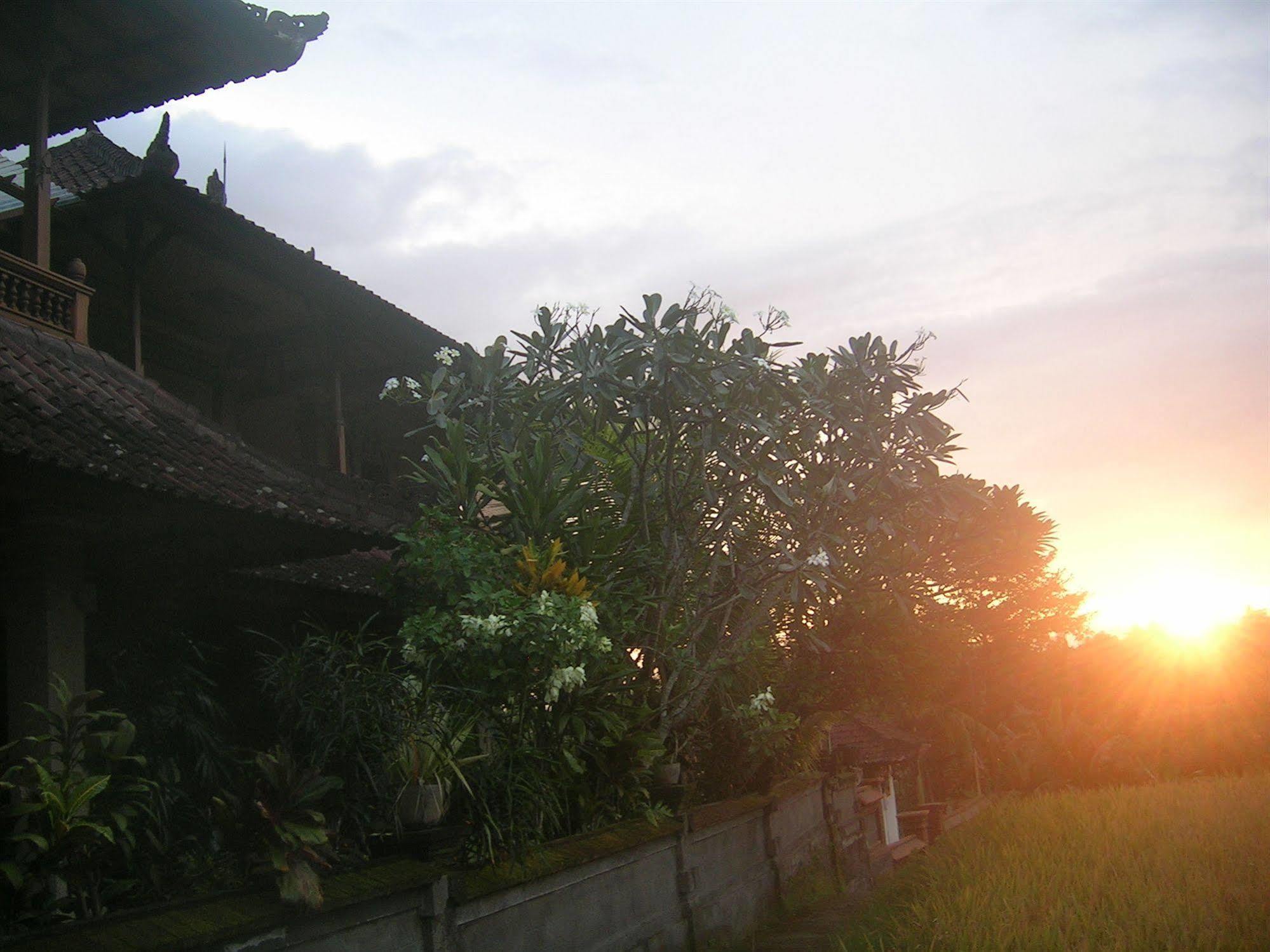 Gusti's Garden 2 Ubud (Bali)