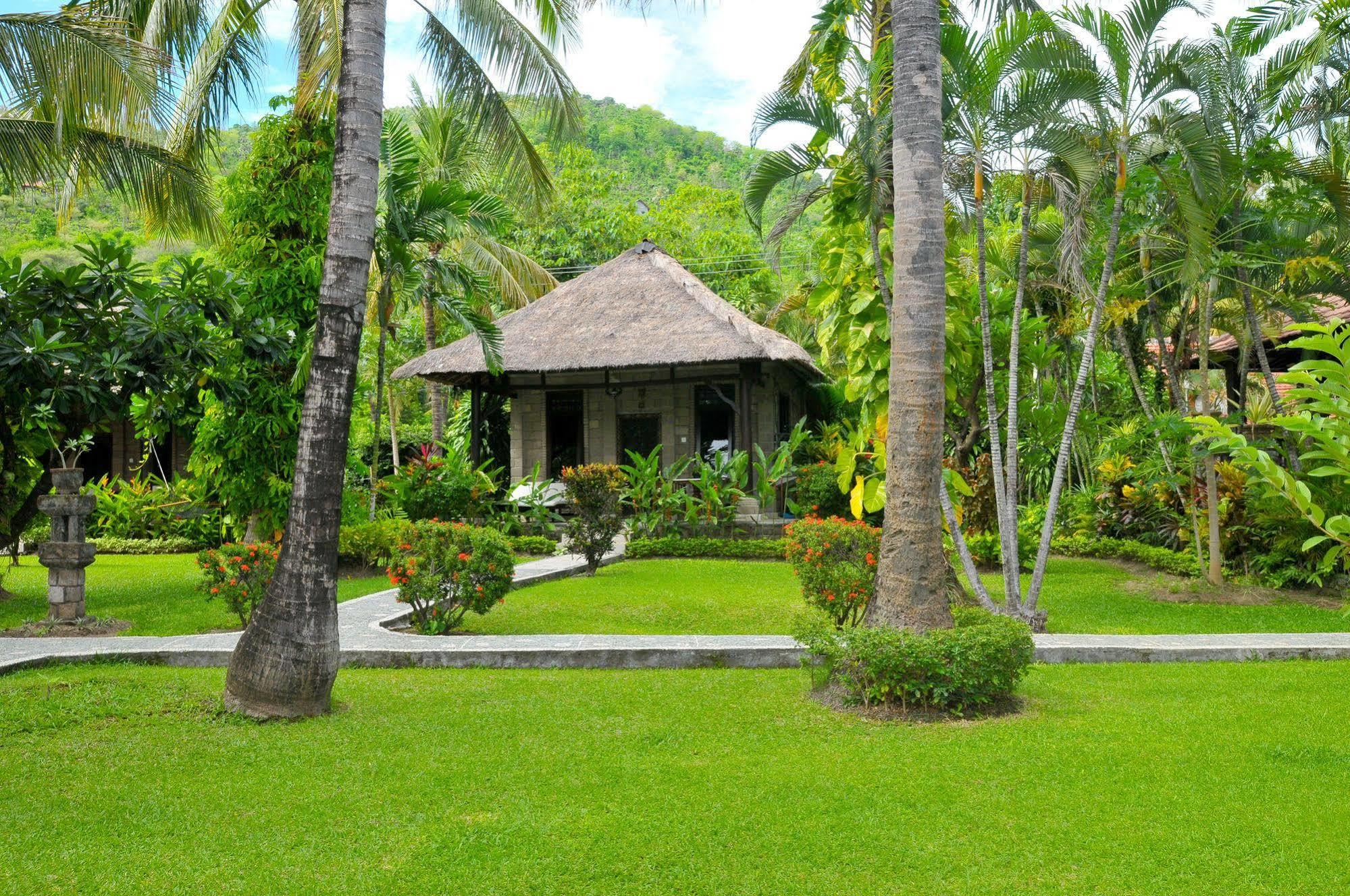 Coral View 3* Amed (Bali)