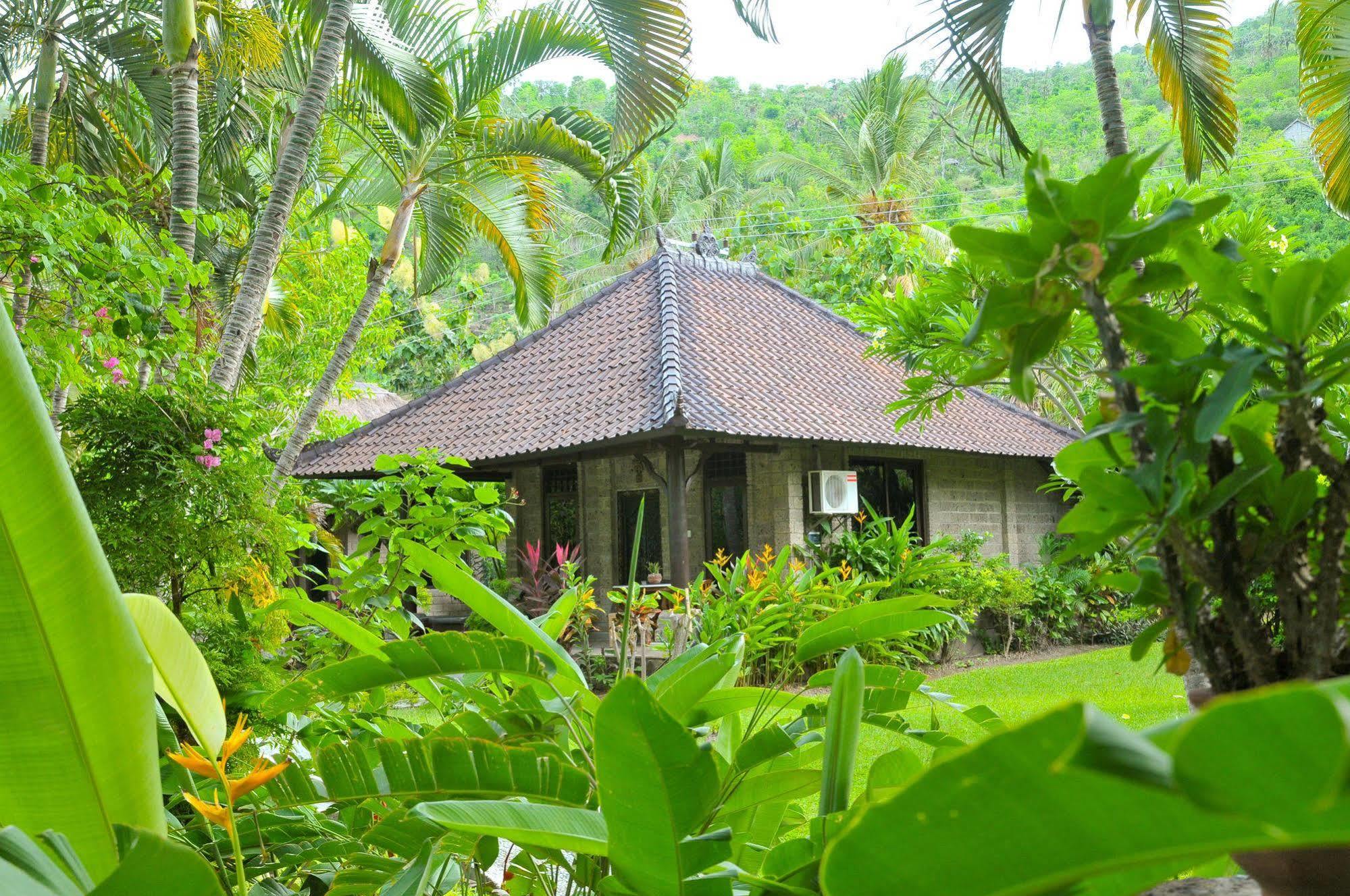 Coral View