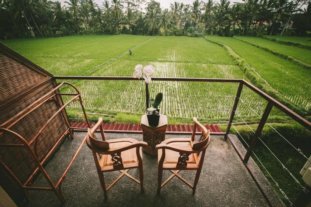 Guest house Junjungan And 3*
