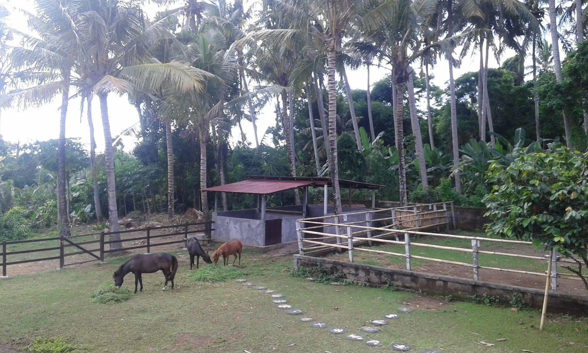 Mandala Desa Holiday park 4*