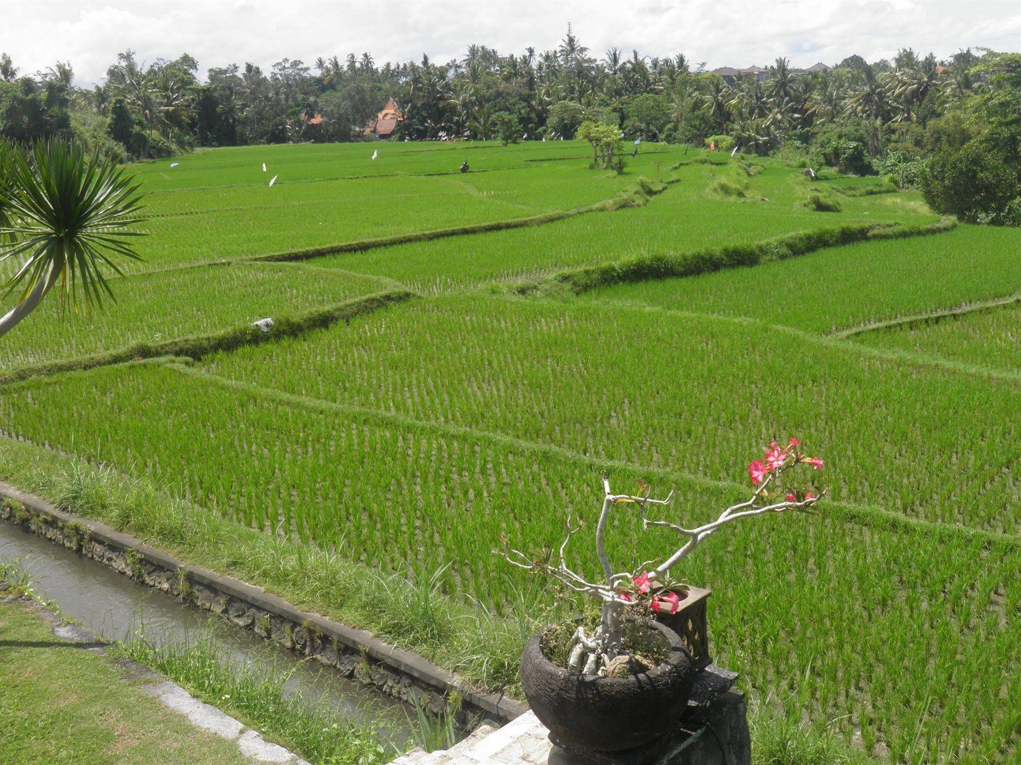 Resor Bumi
