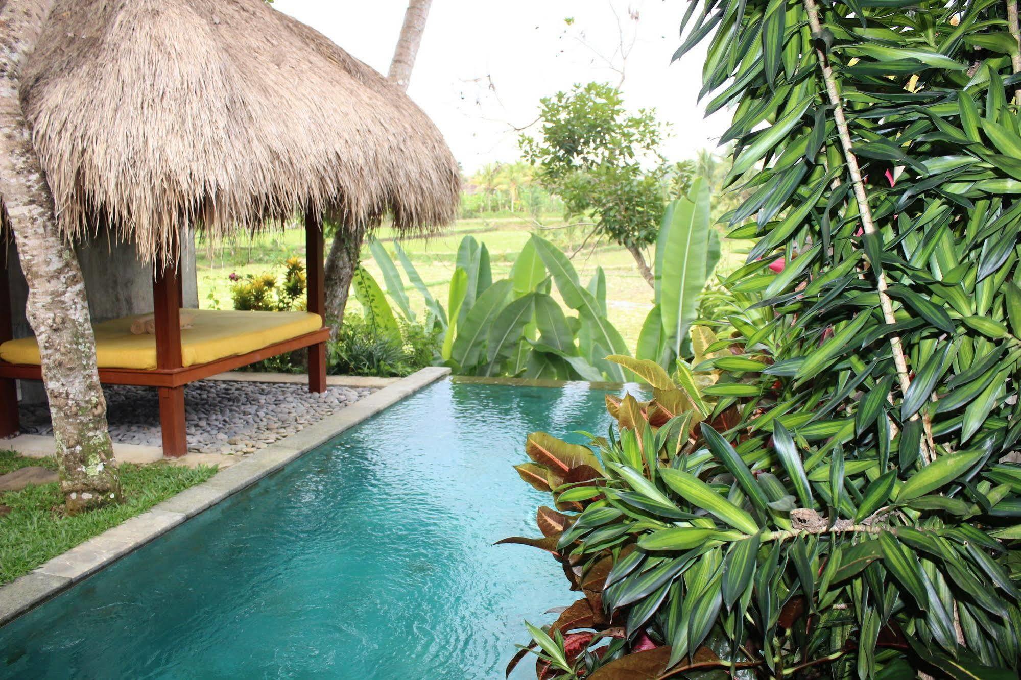 Padi Villa *