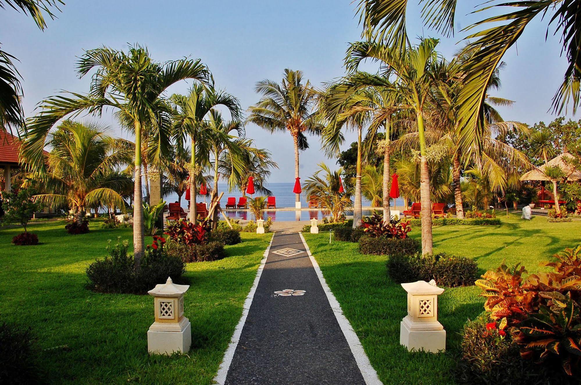 Bali Dive And