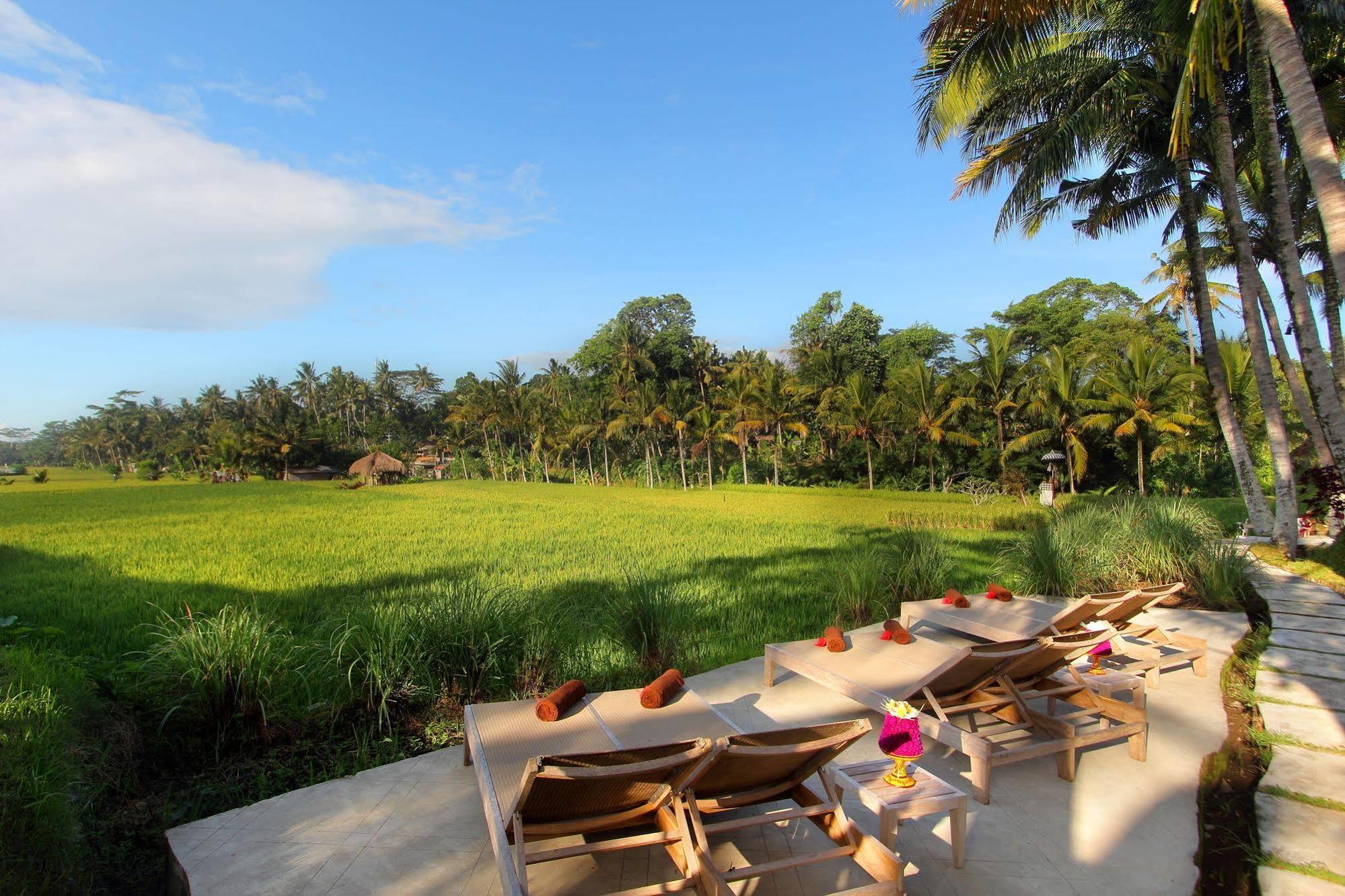 Hotel Mathis Retreat Ubud (Bali)