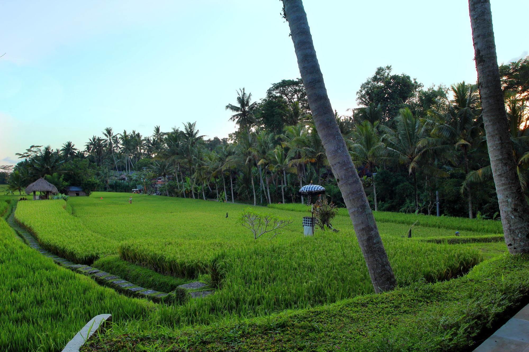 Hotel Mathis Retreat Ubud (Bali)
