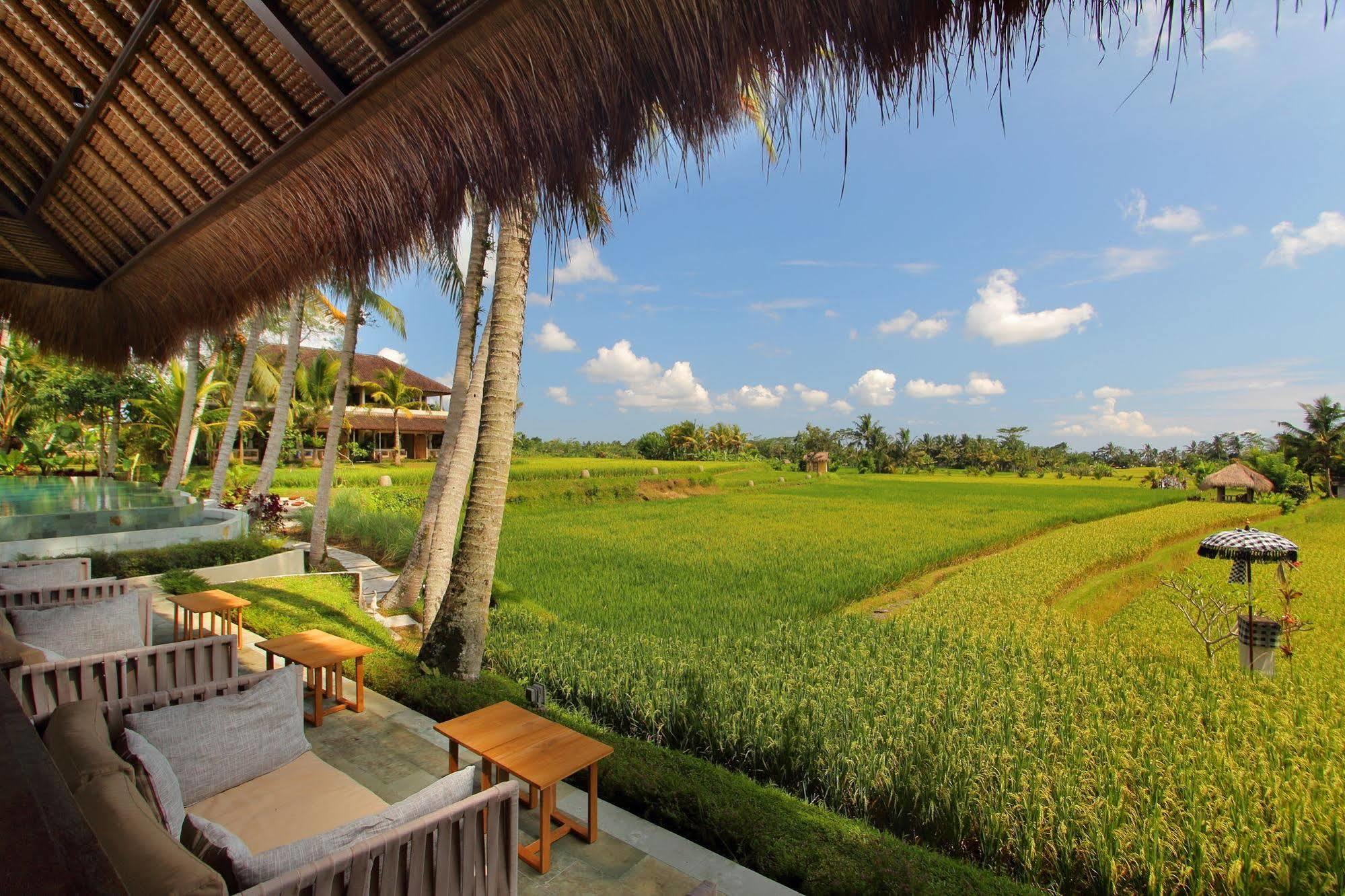 Mathis Retreat Hotel 4*