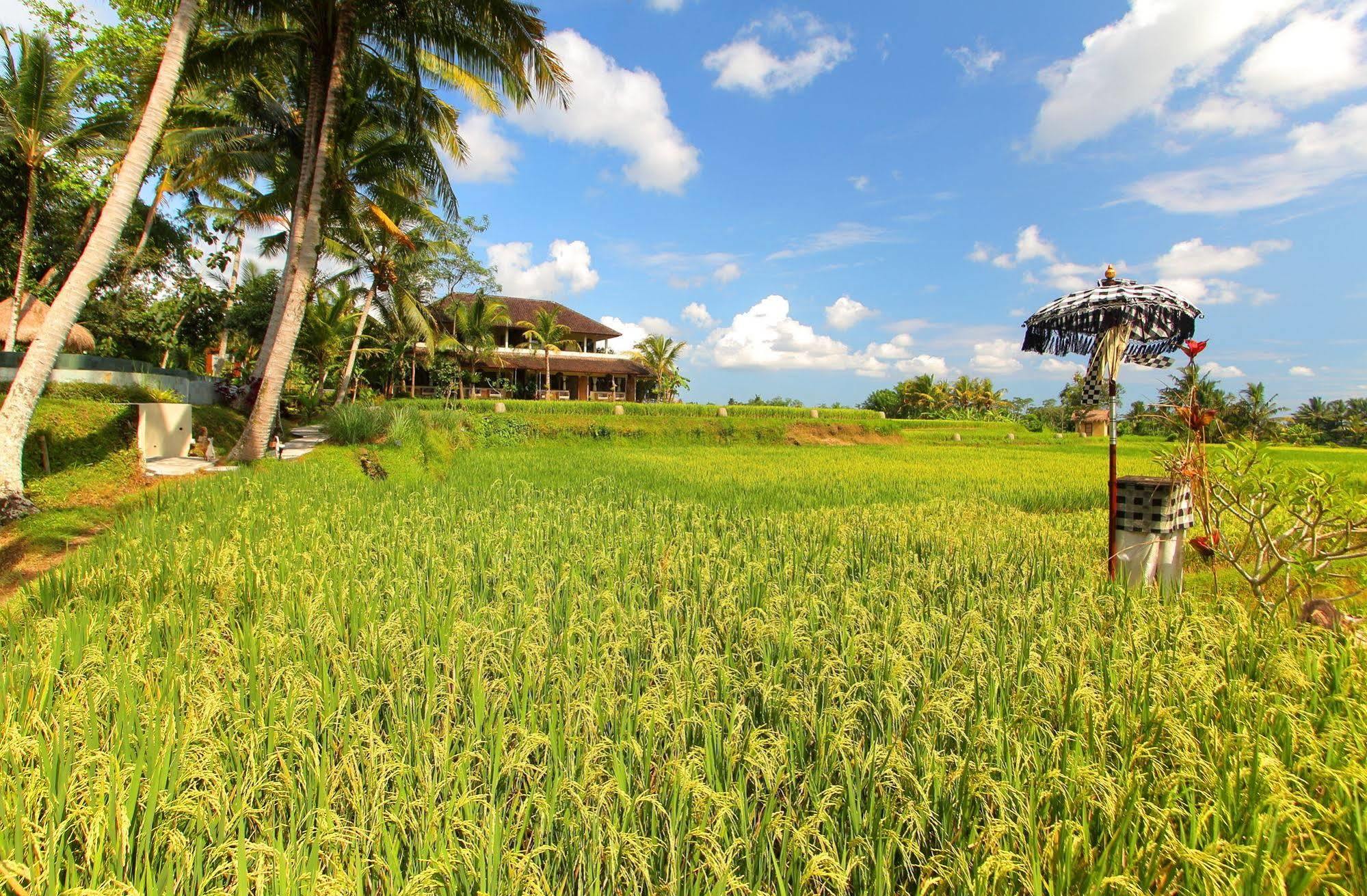 Hotel Mathis Retreat Ubud (Bali)