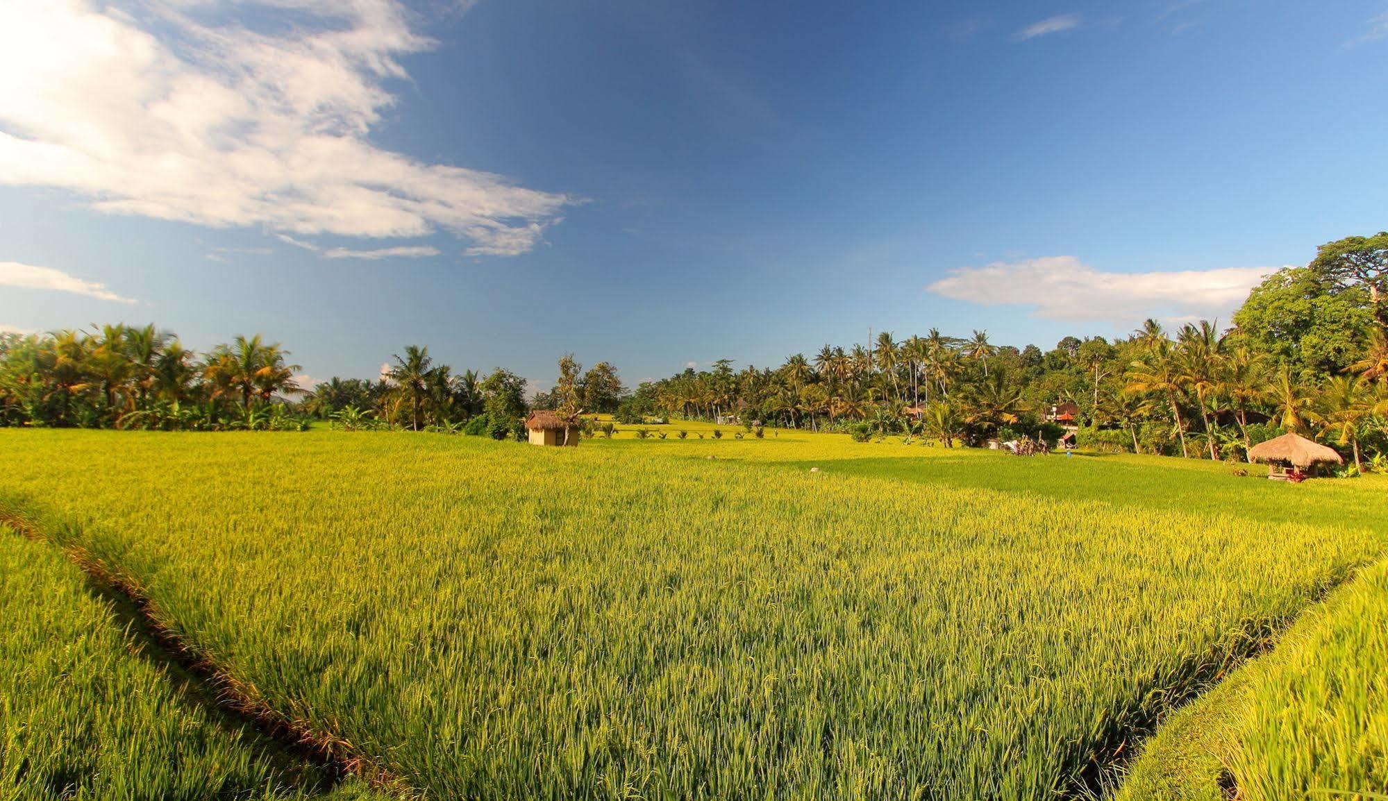 Mathis Retreat Hotel 4*