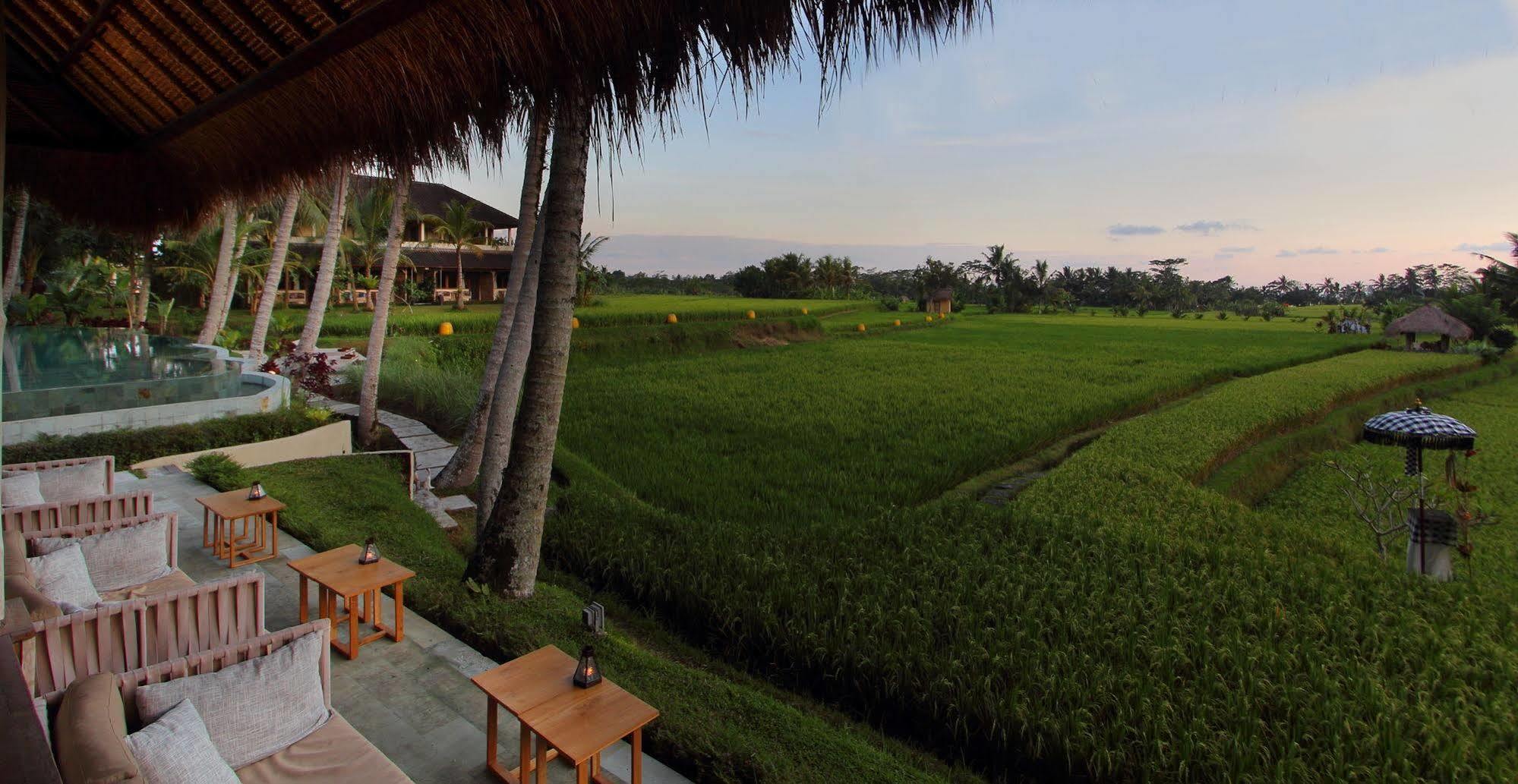 Hotel Mathis Retreat Ubud (Bali)