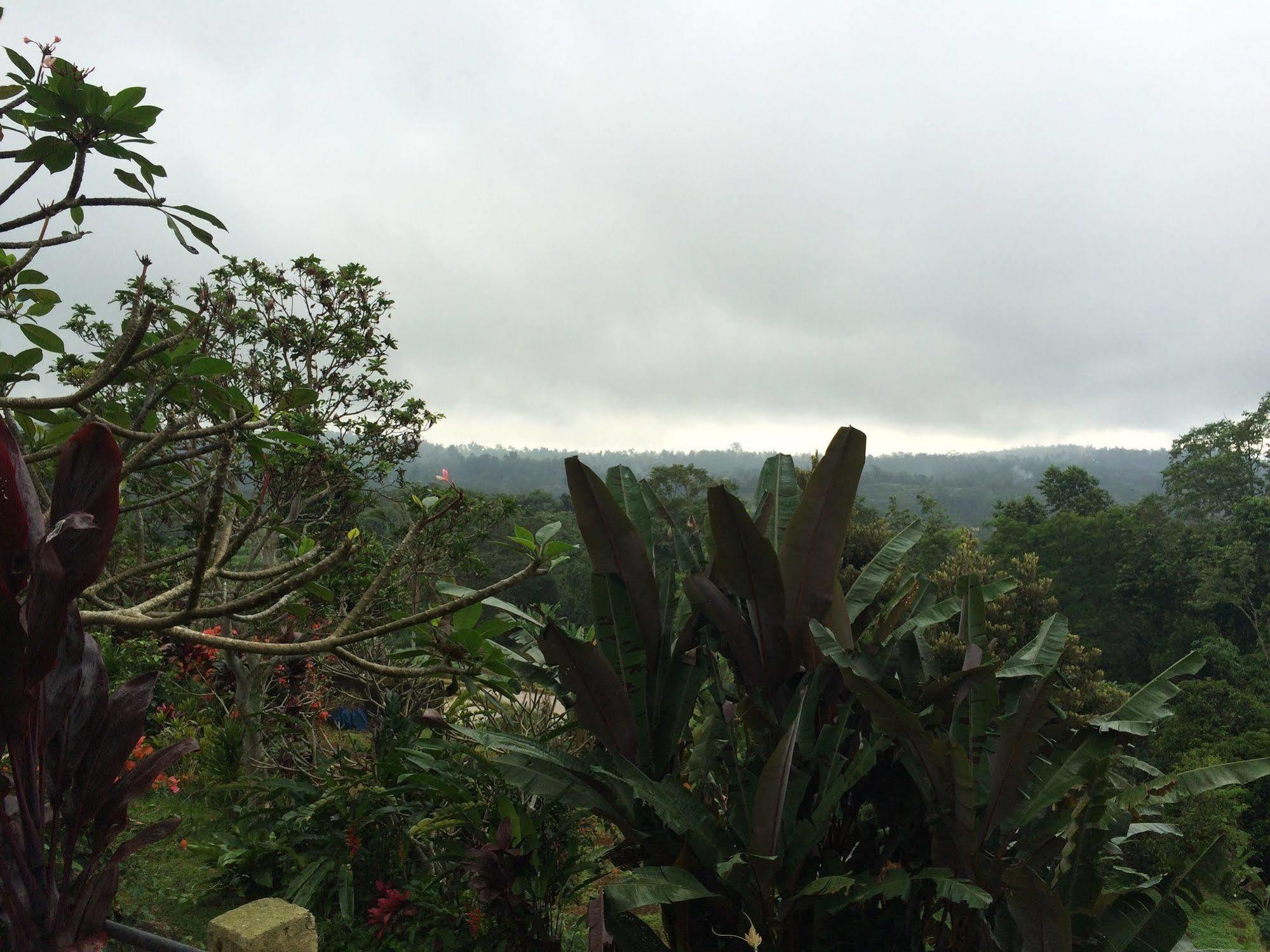 Pacung Indah & Restaurant By Ecommerceloka Guest house