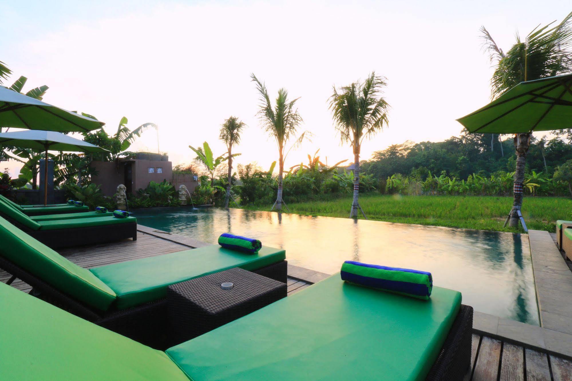 Tropical Garden 4*