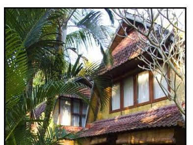 Jineng Bali 3*