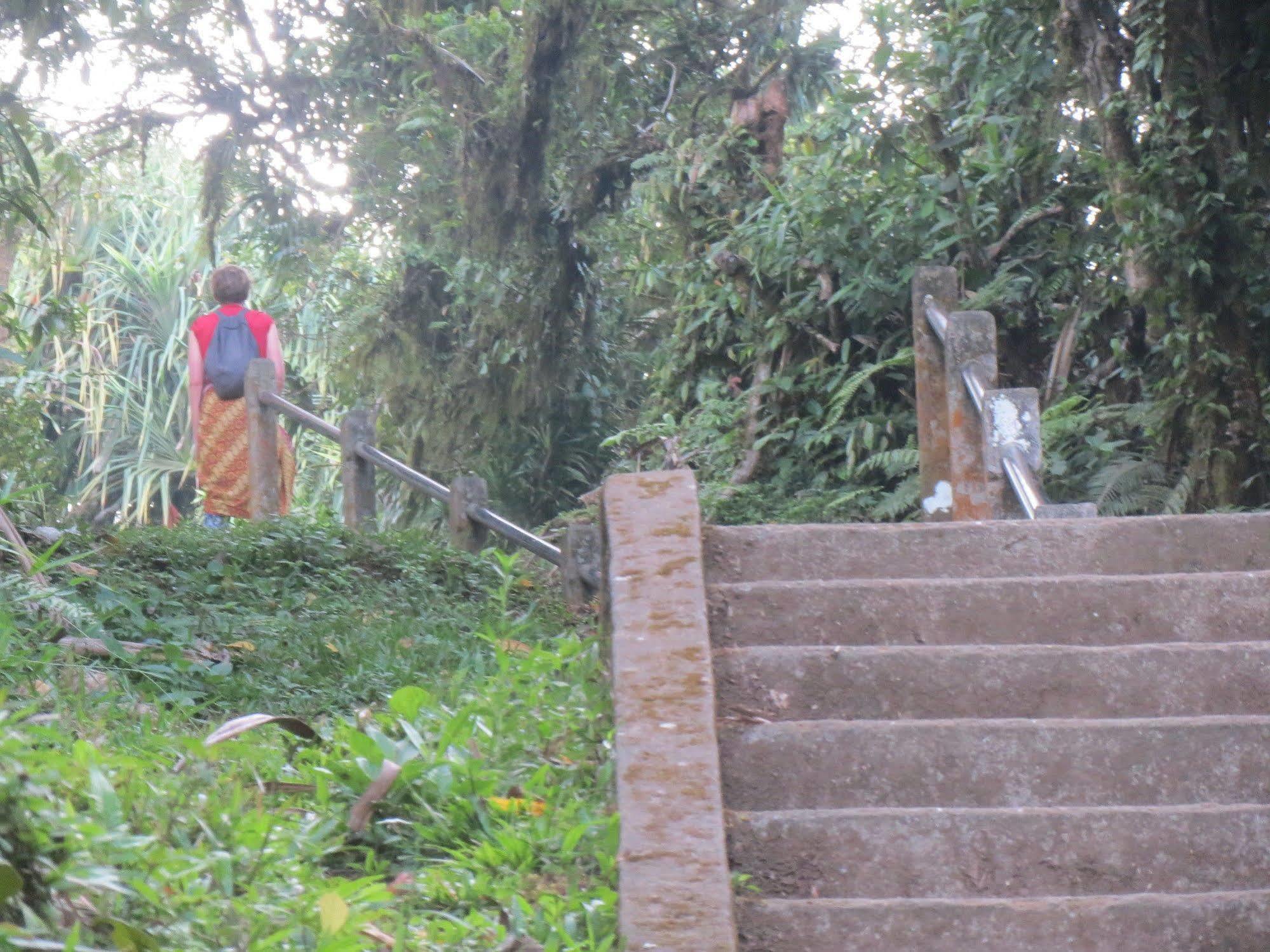 Sari Guest house