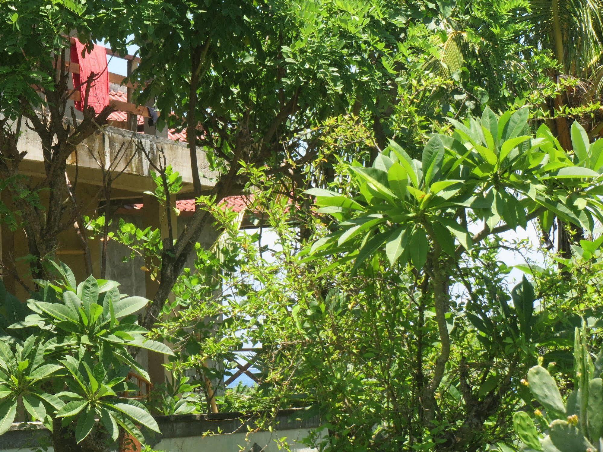 Sari