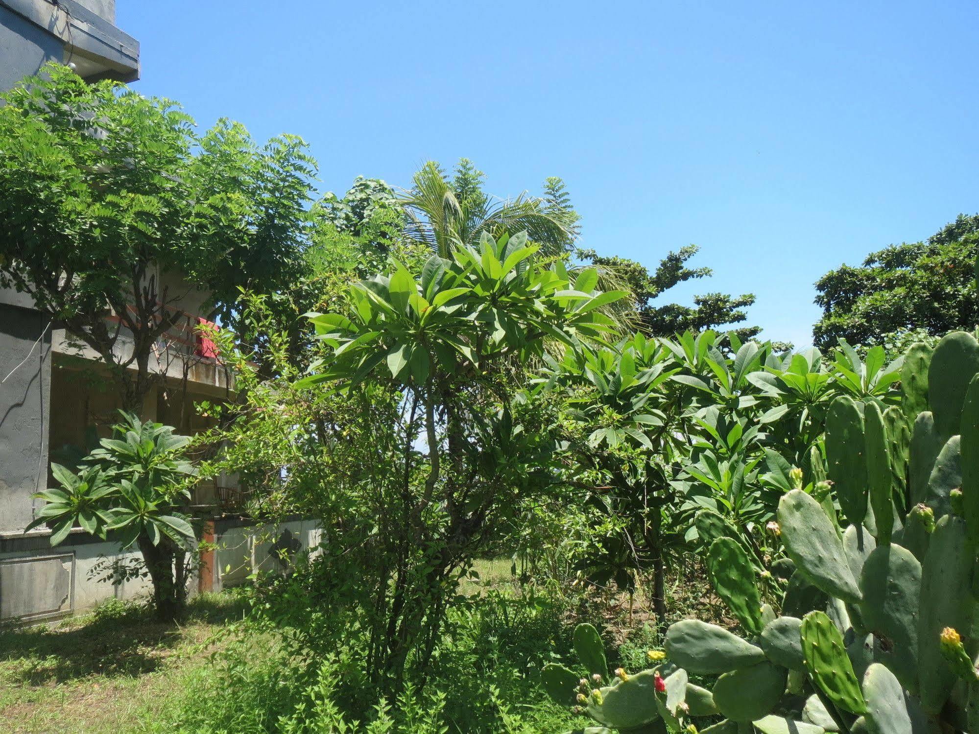 Guest house Sari