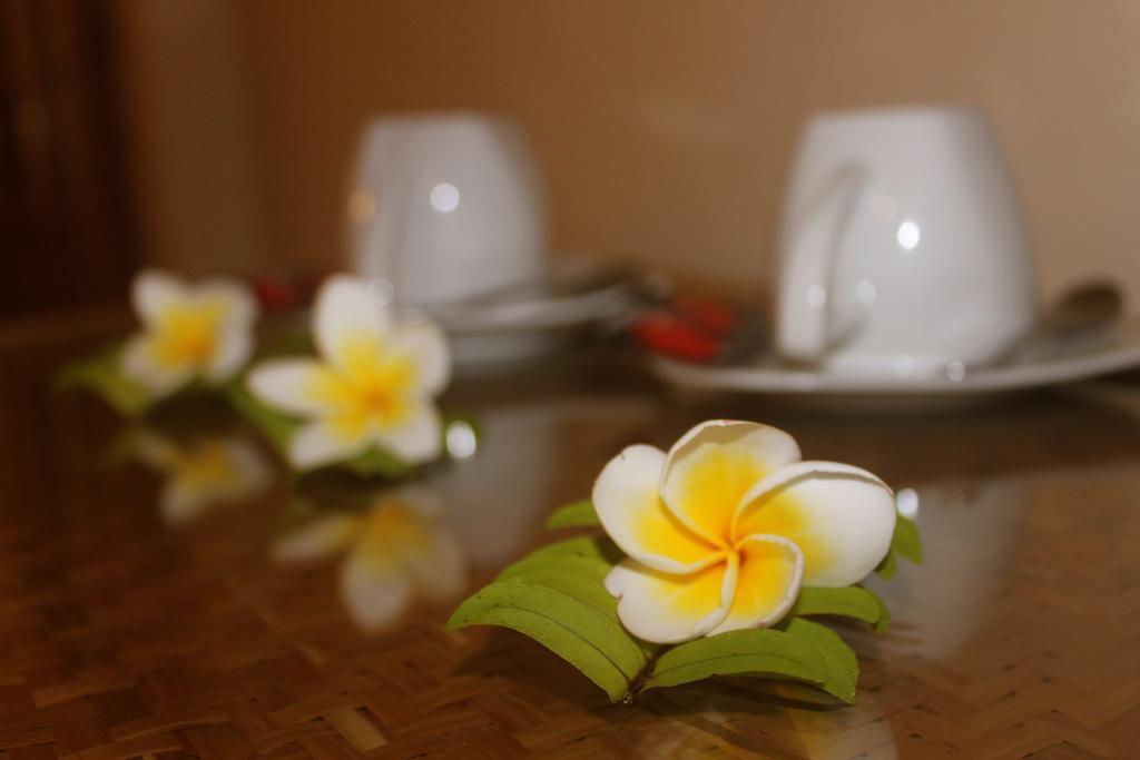 Hotel Chonos 3*