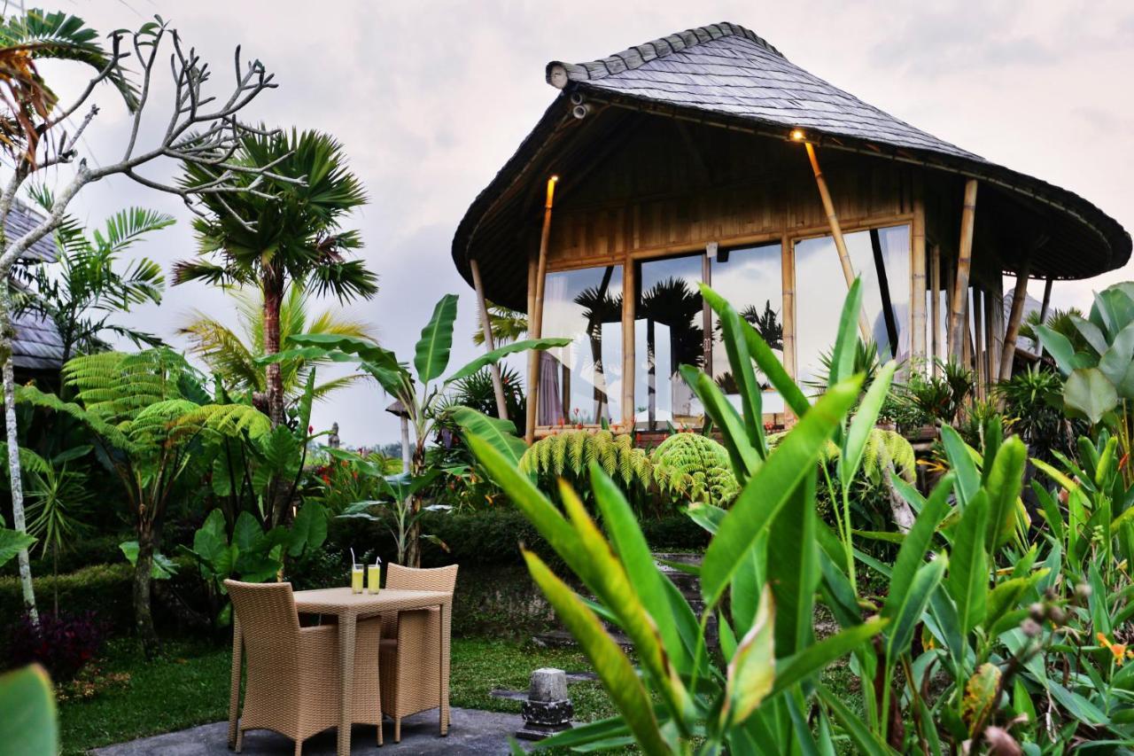 Padi Bali Eco Resor Payangan