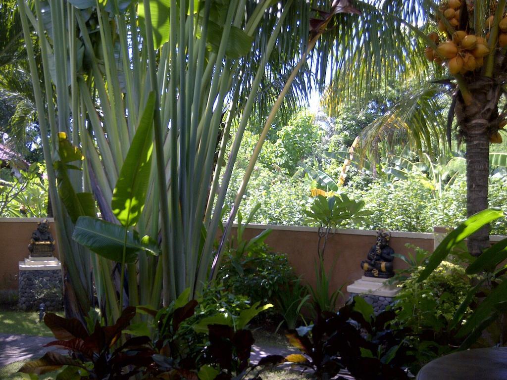 Pazzo Bali Holiday park 4*