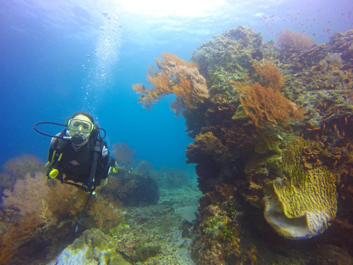 Selang Resort Amed (Bali)