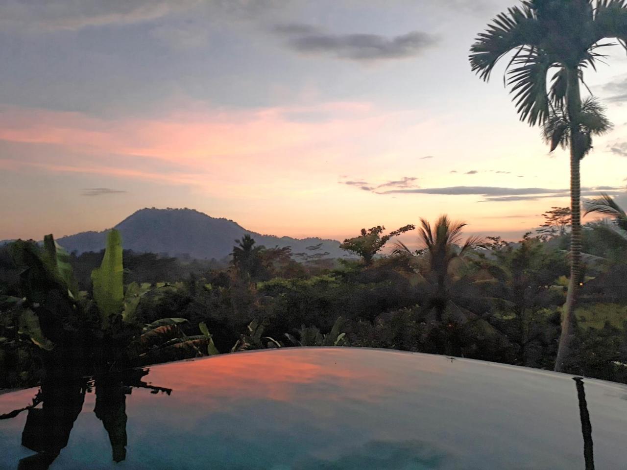 Guest house Surya Shanti 4*