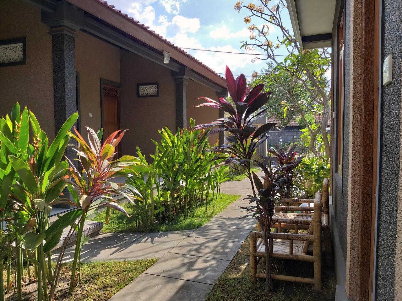 Griya Ayu * Pemuteran (Bali)