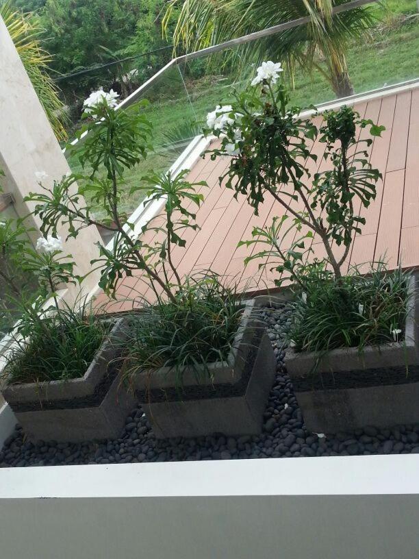 Aparthotel Echo 3*