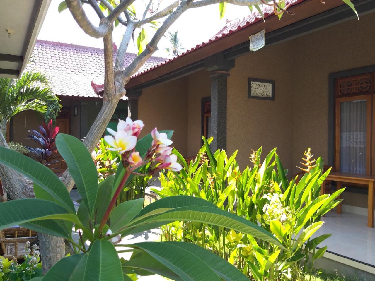 Griya Ayu Homestay *