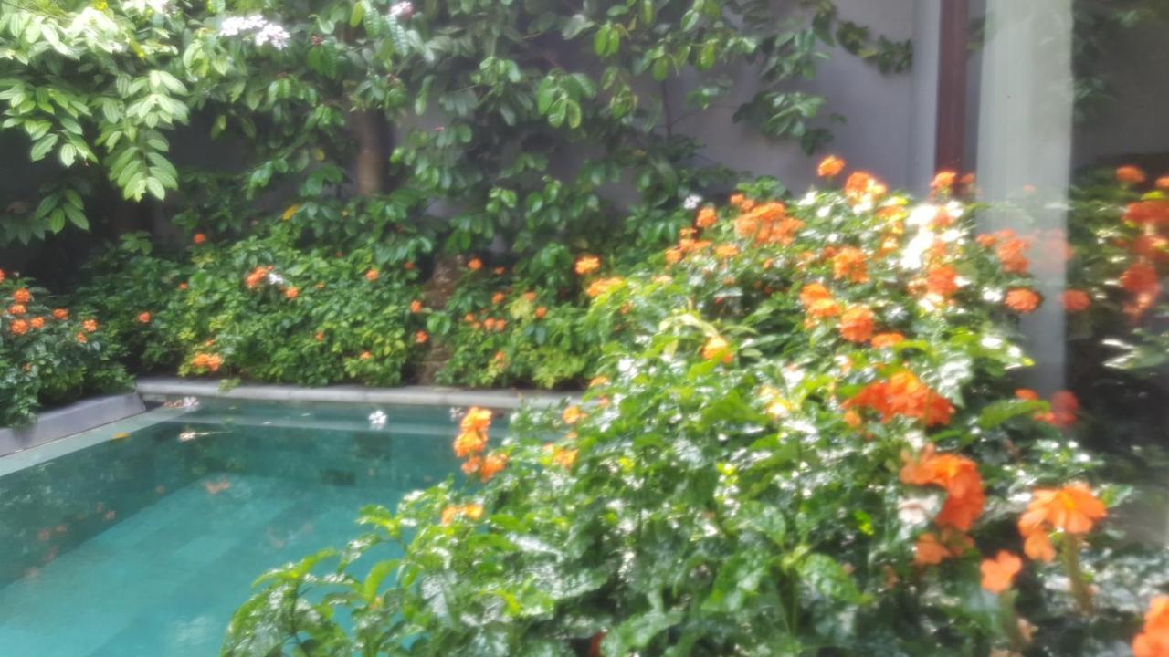 Resort Wana
