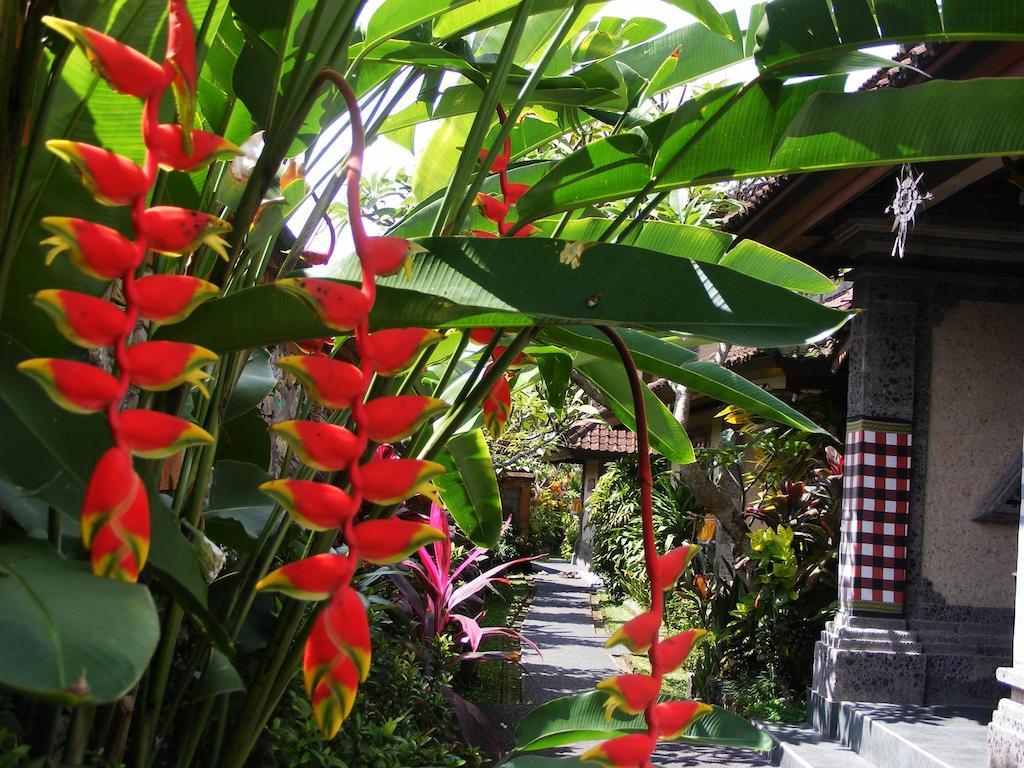 Guest house Jalan Jalan & Ubud (Bali)