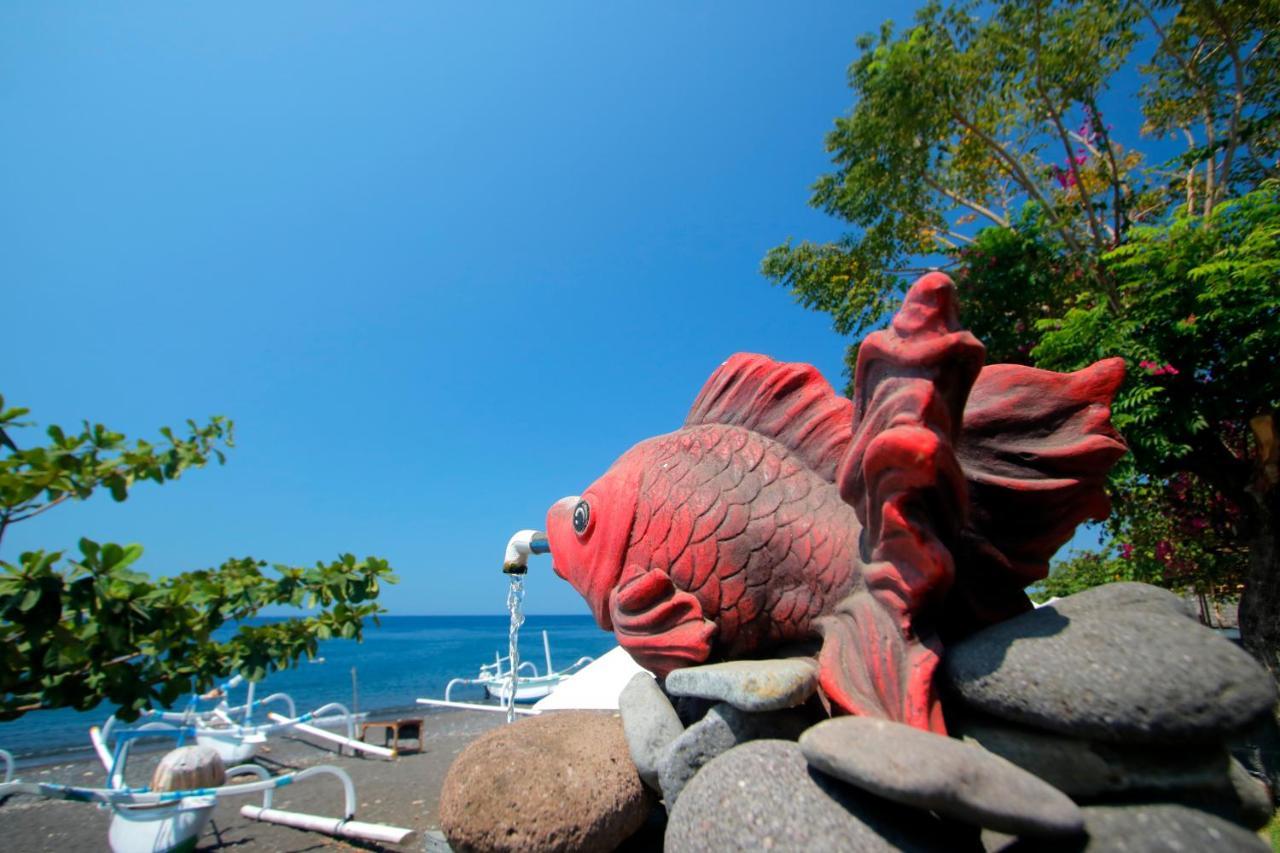 Valomia Beachfront Guest house Amed (Bali)
