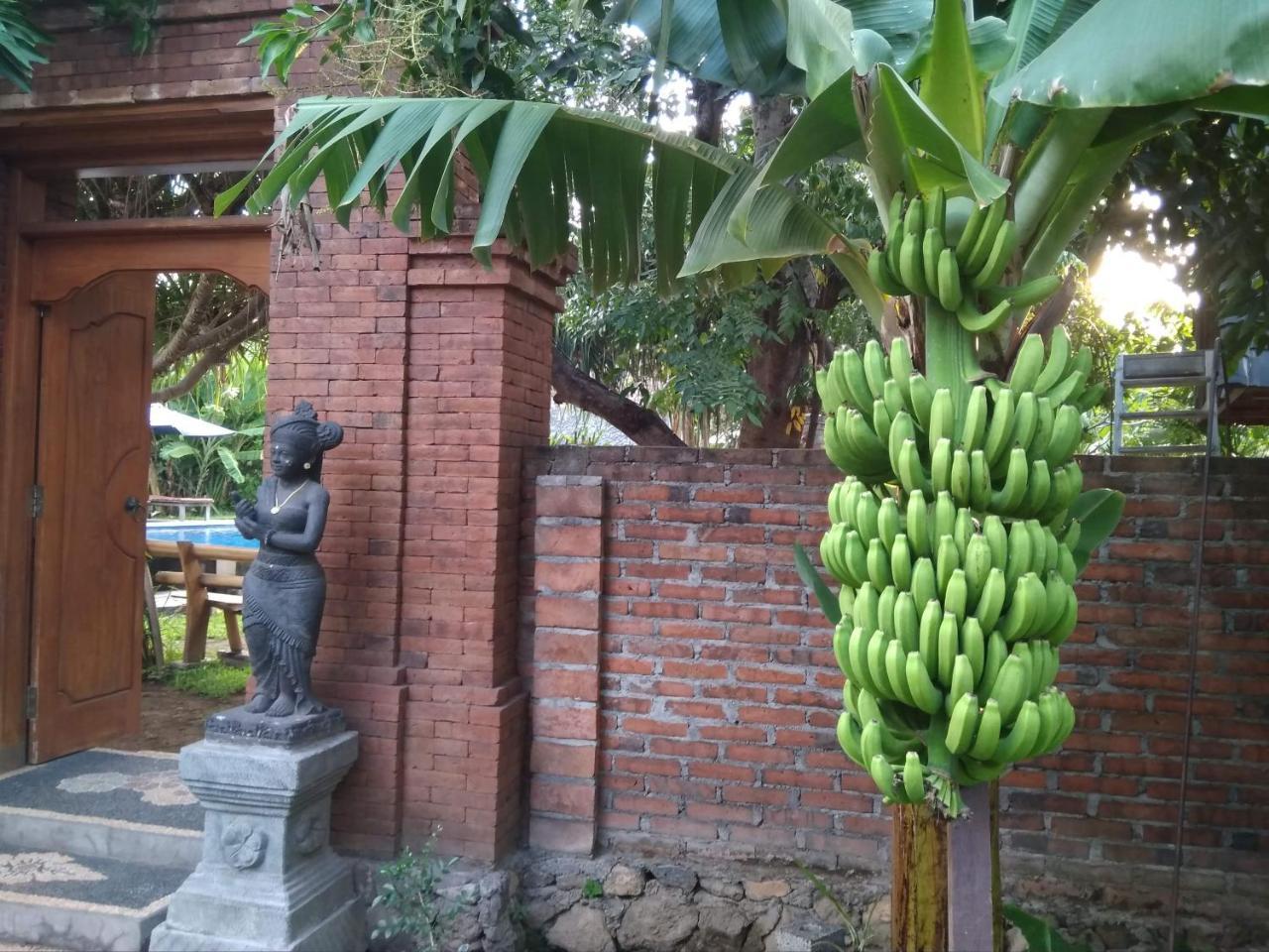 Suka Sari Homestay