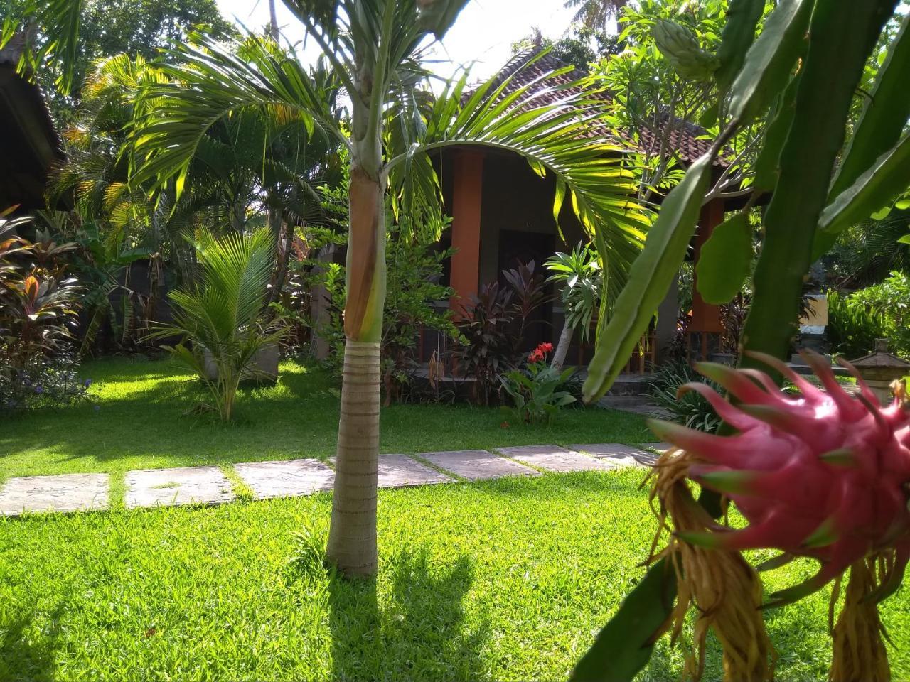 Suka Sari Homestay Pemuteran (Bali)