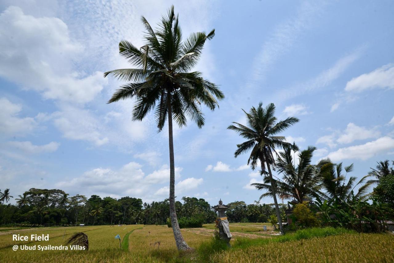 Syailendra * Ubud (Bali)