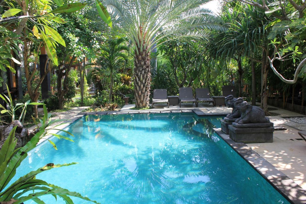Guest house Alami Resort, Restaurant And Dive Center 3*
