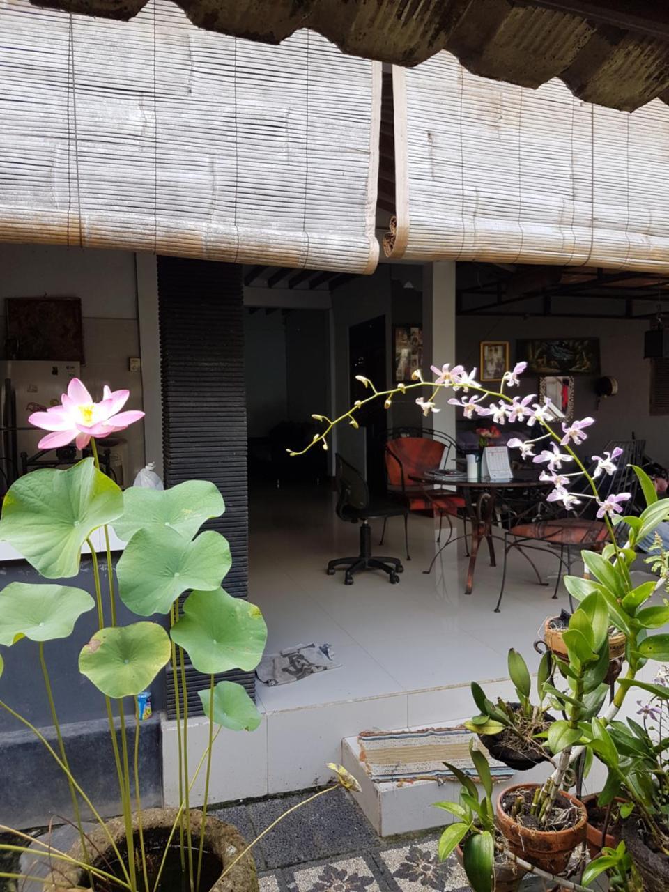 Wisma tamu Mawar 2*