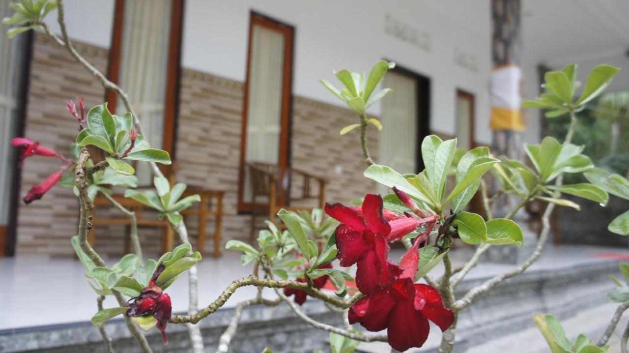 Homestay Klotok Nusa