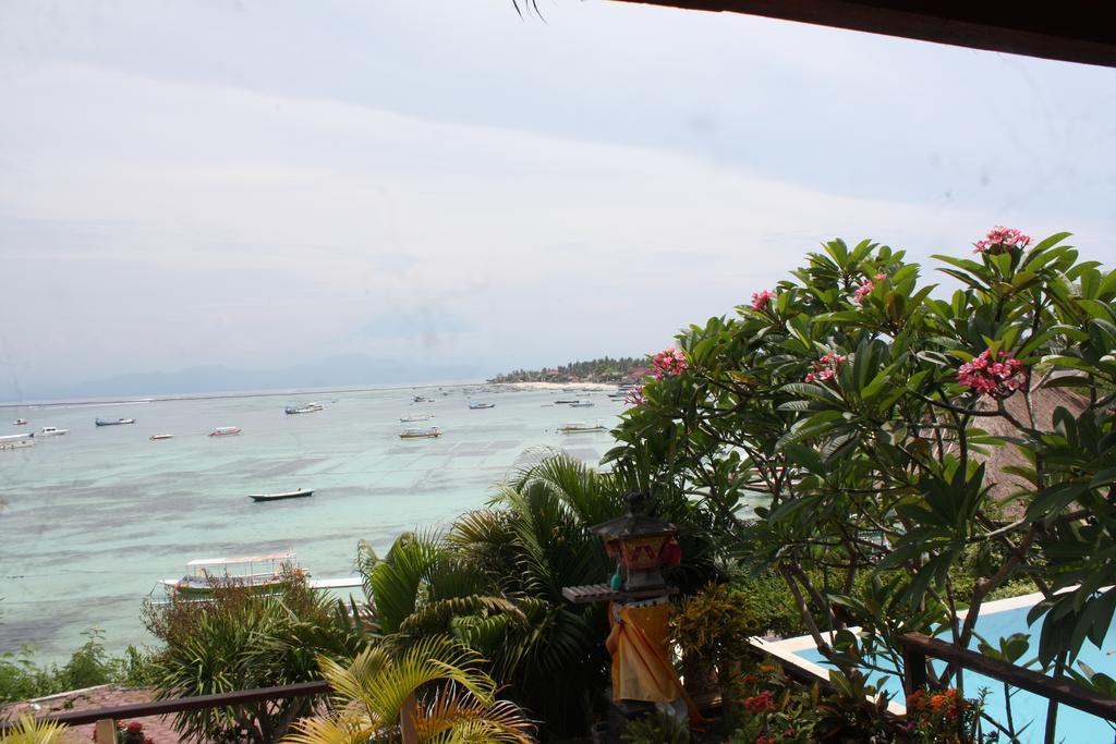Oka 7 Holiday park Nusa Lembongan (Bali)