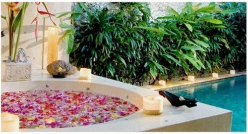 Jestate & - (adults Only) 5*