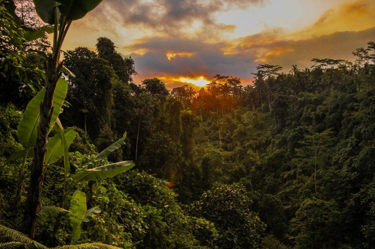 Kalisat 4* Ubud (Bali)