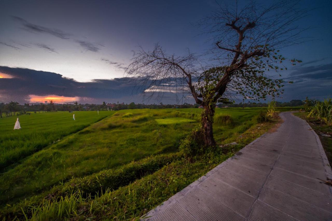 The Lebak Canggu (Bali)