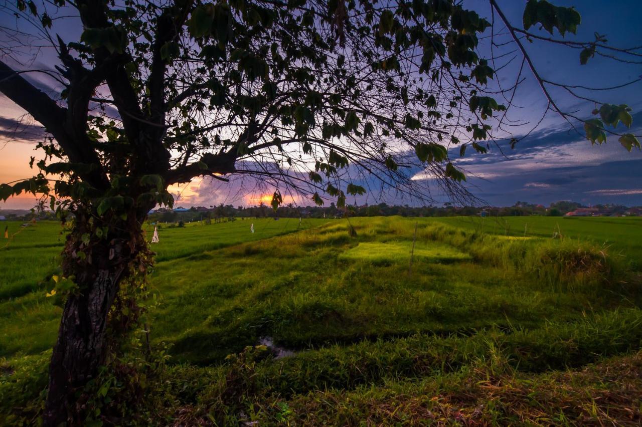 The Lebak *