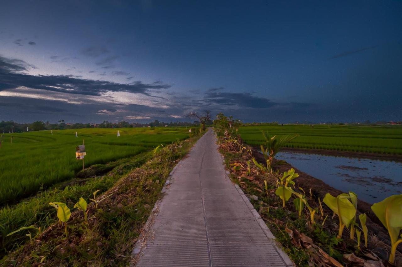 The Lebak *