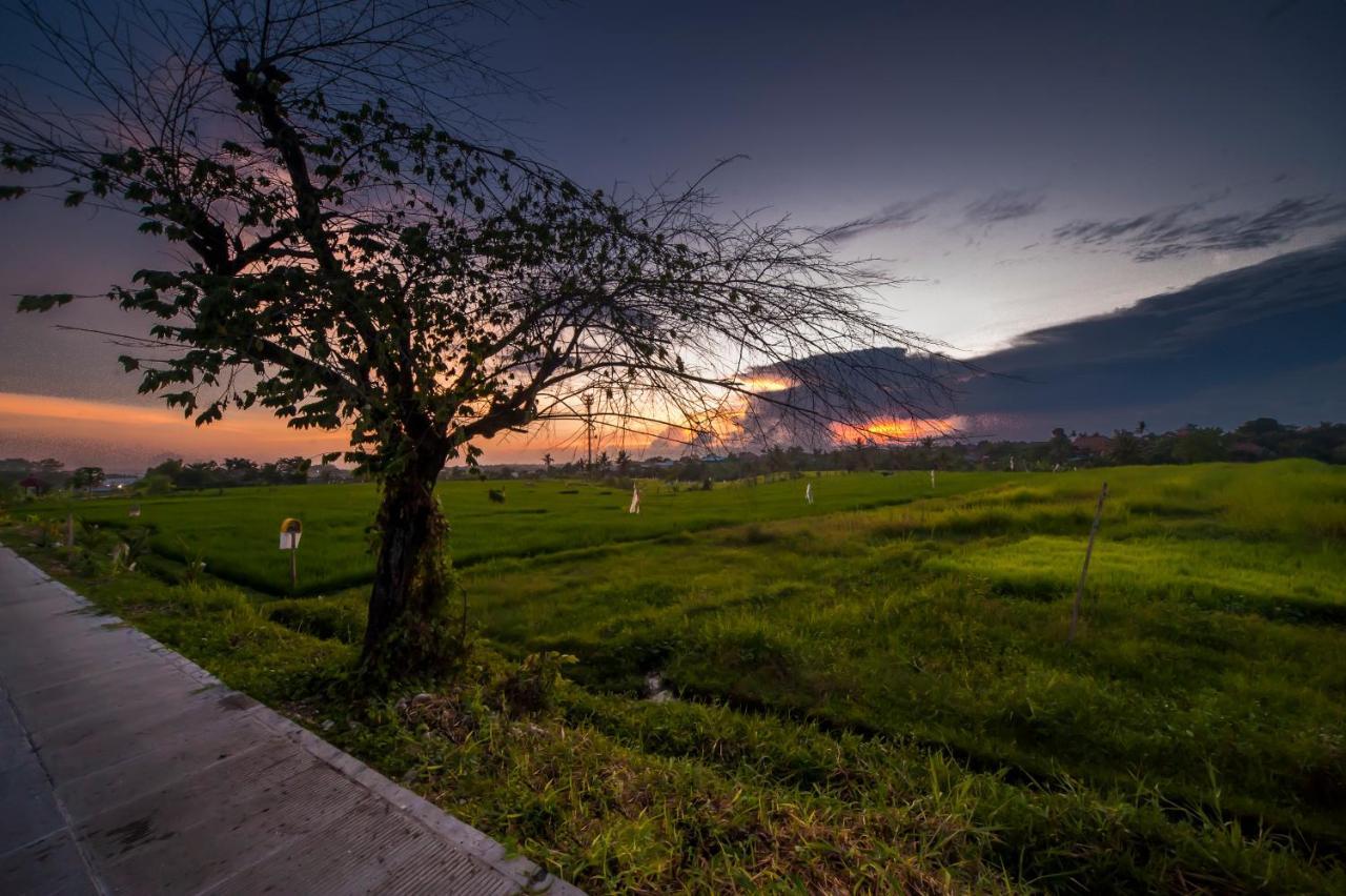 The Lebak * Canggu (Bali)