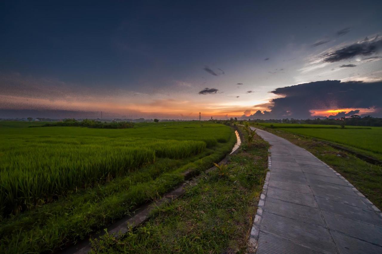 Guest house The Lebak Canggu (Bali)