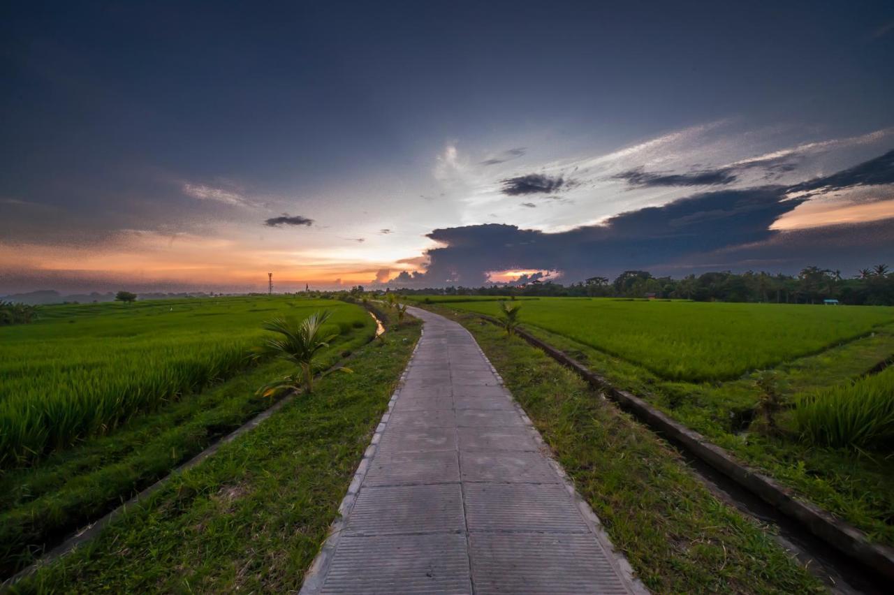 The Lebak * Canggu (Bali)
