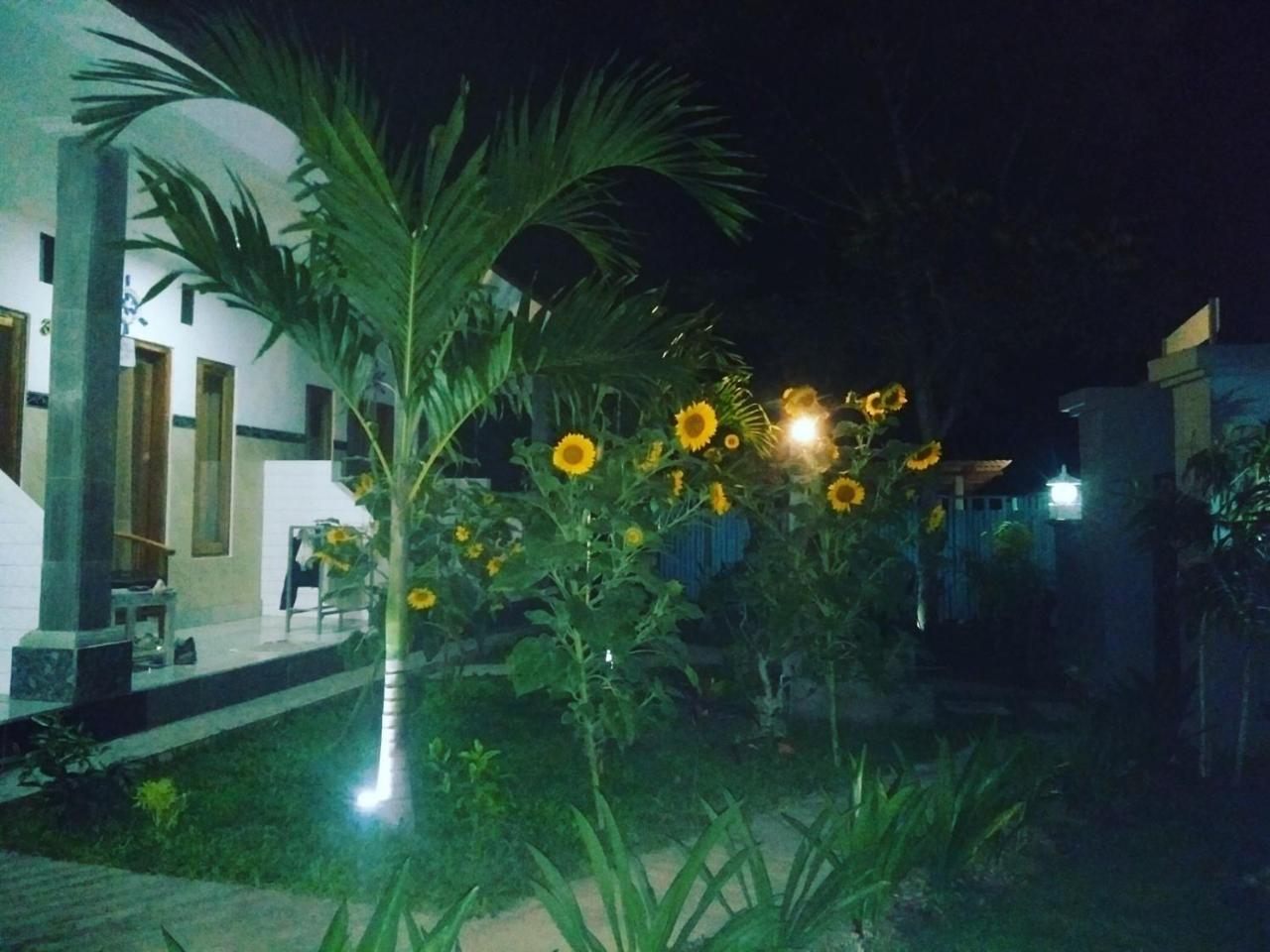 Suka Guest house Nusa Lembongan (Bali)