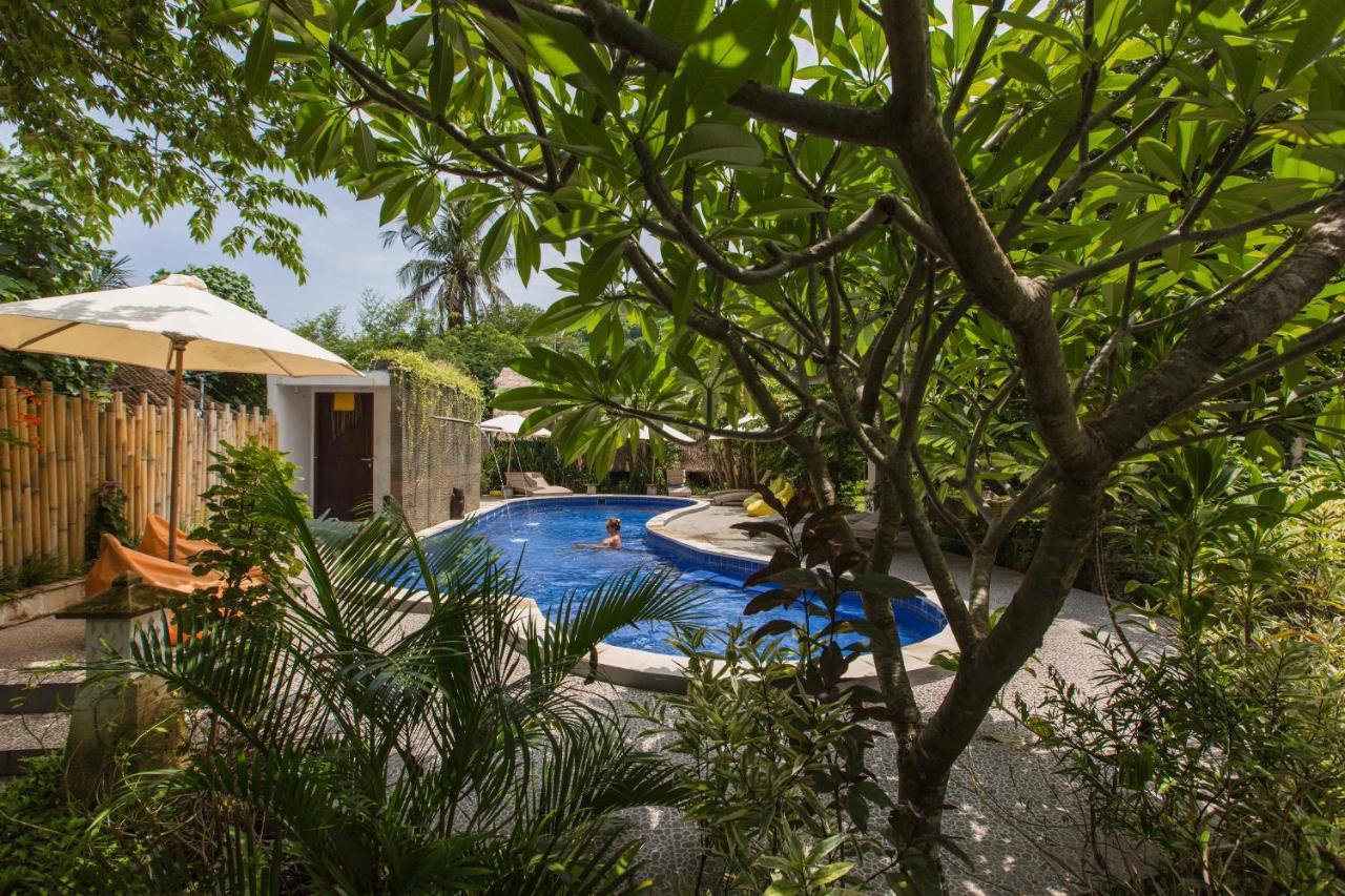 Aura & Bali 4* Amed (Bali)