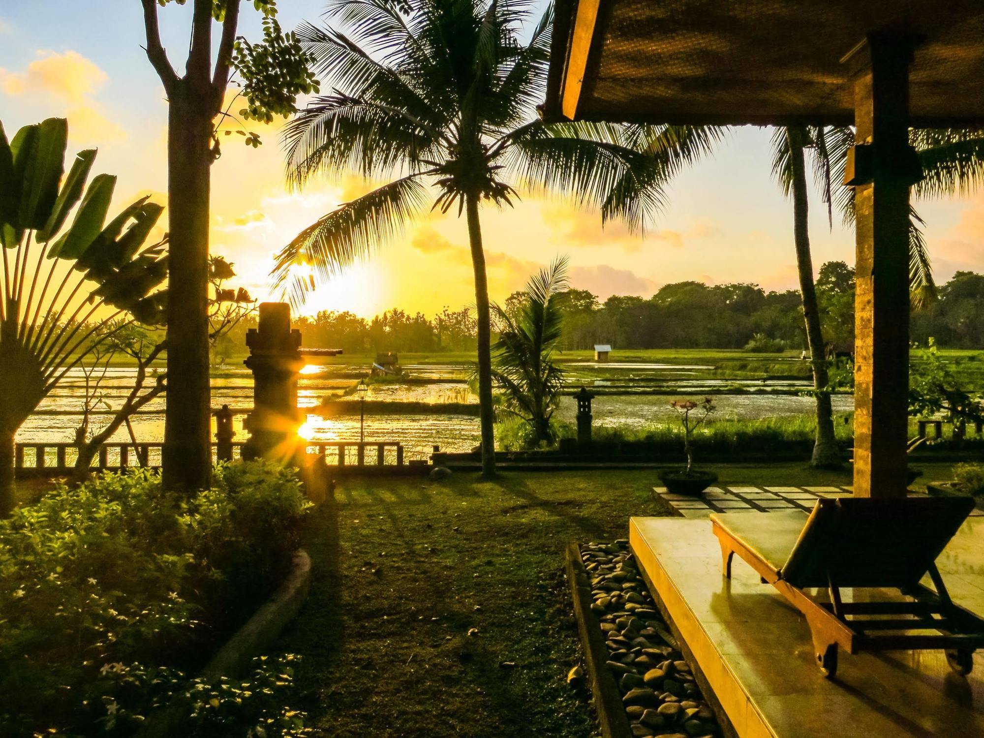 Field And Restaurant Hotel Ubud (Bali)