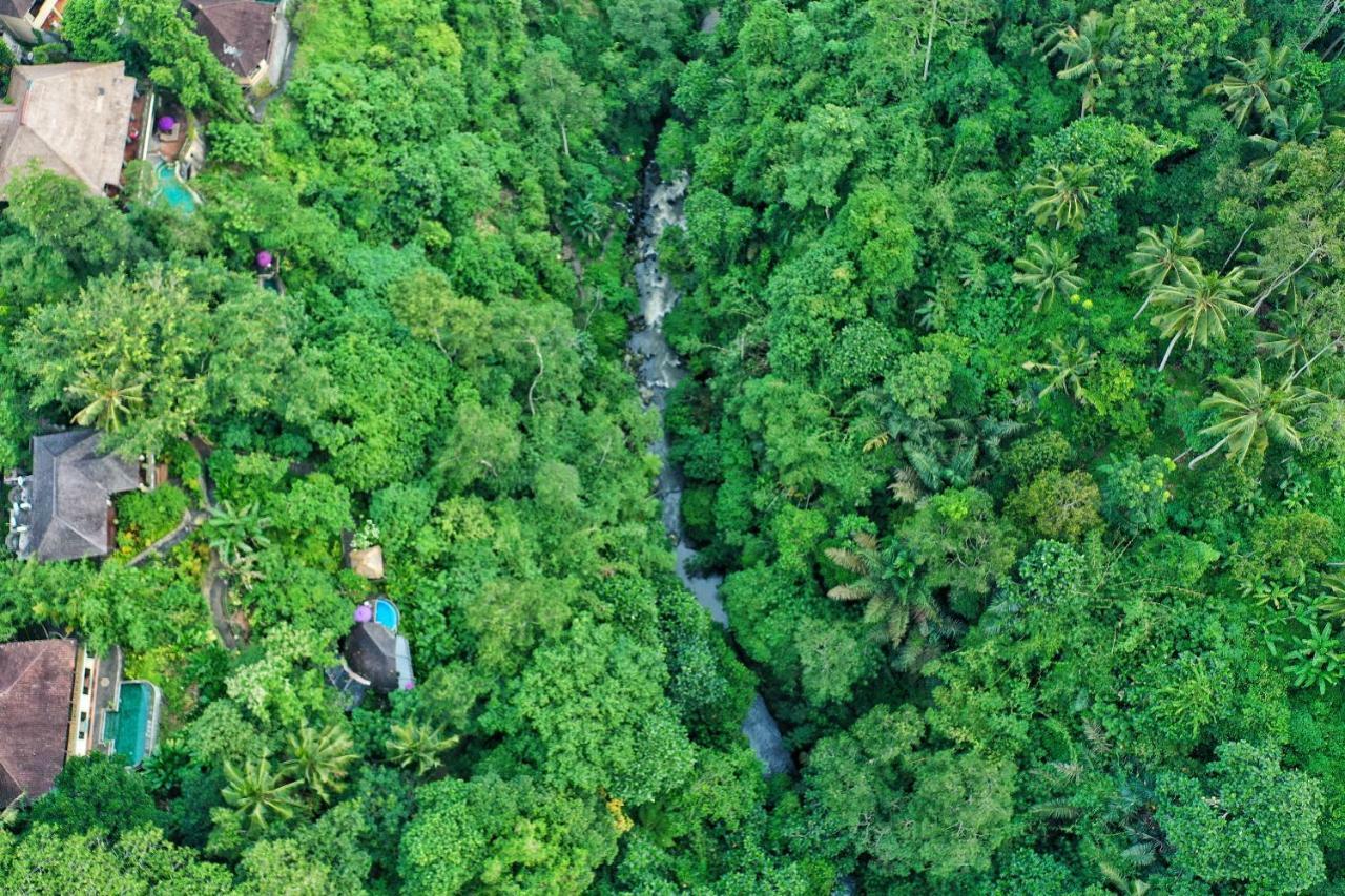 Awang Awang Villa Ubud (Bali)